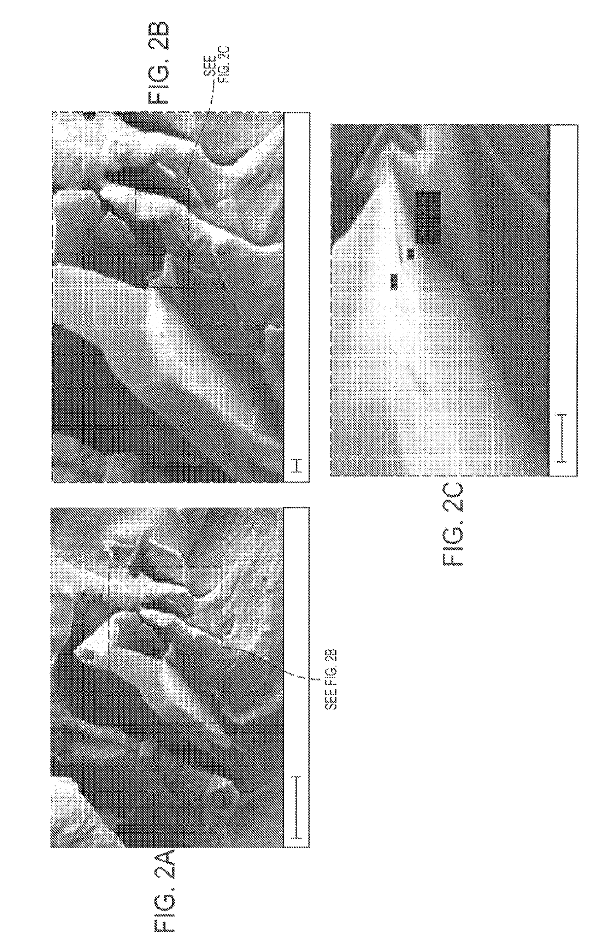 Graphene-reinforced polymer matrix composites