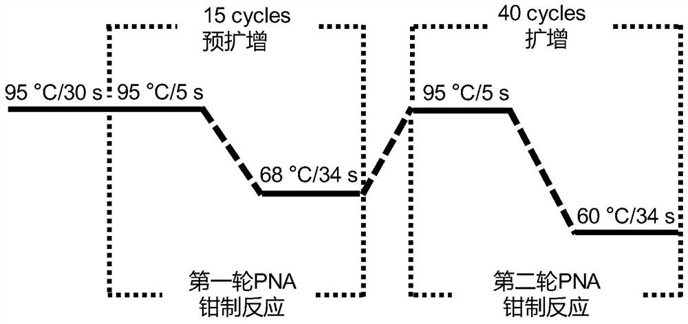 A method for quantitative detection of dna point mutations