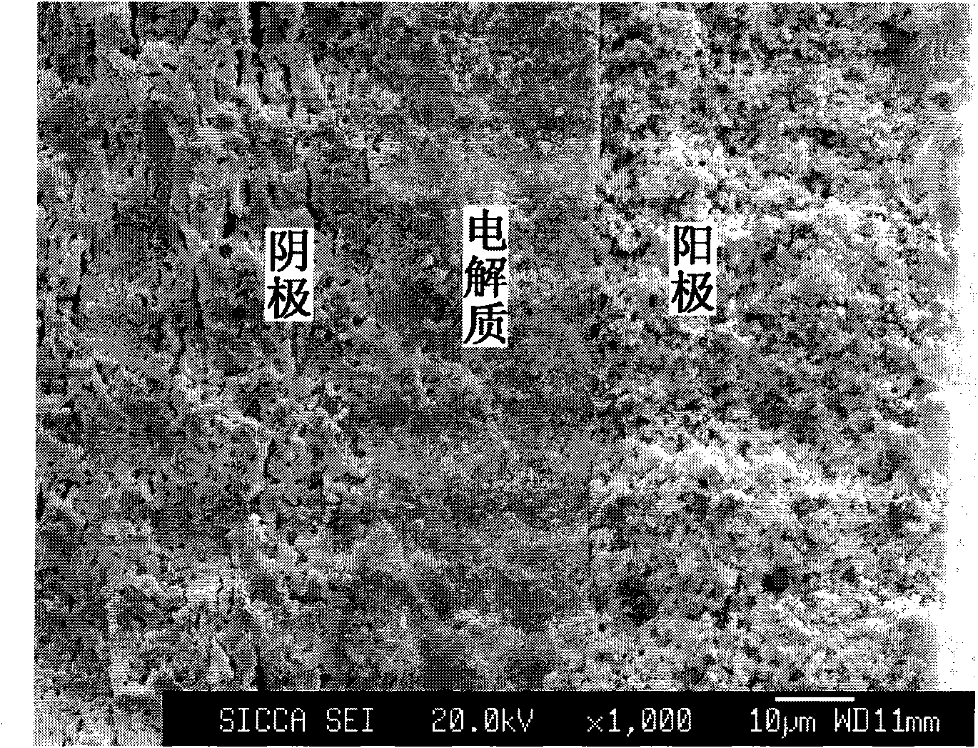 Method for preparing cathode-supported tubular solid oxide fuel cells