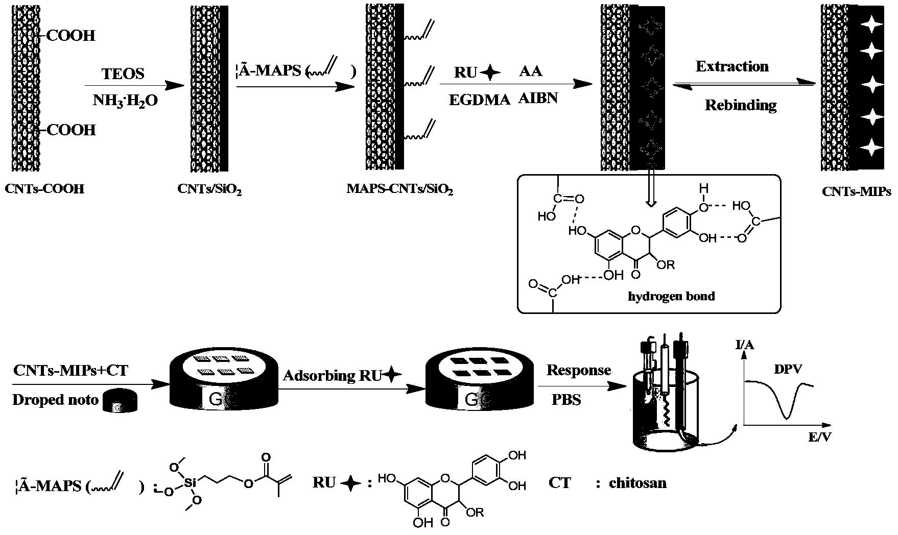 Carbon nanotube surface molecularly imprinted polymer as well as preparation method and application thereof