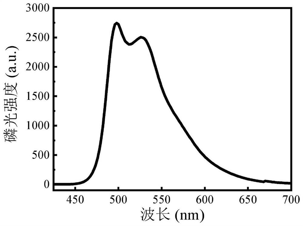 Phosphorescent polymer material as well as preparation method and application thereof