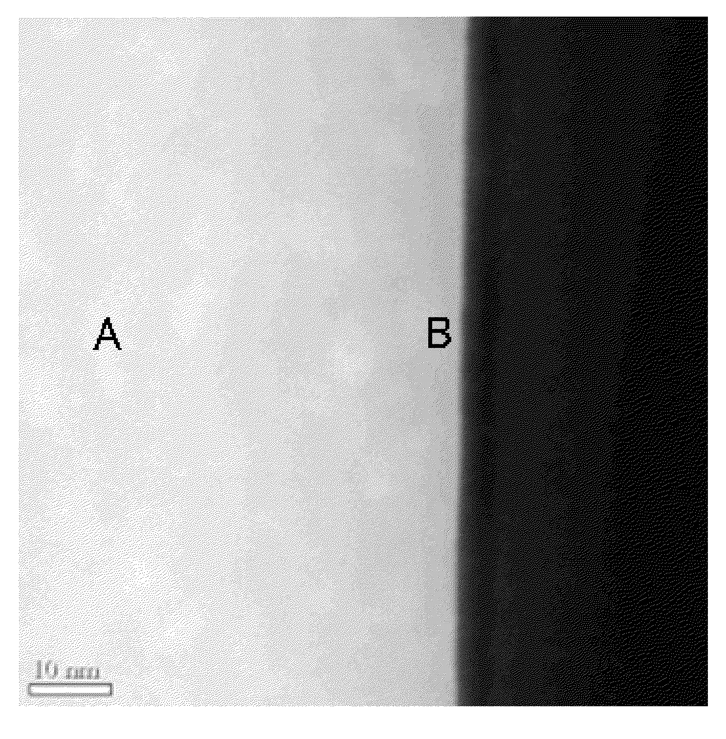 Lithium composite compound particles and process for producing the same, and non-awueous electrolyte secondary battery