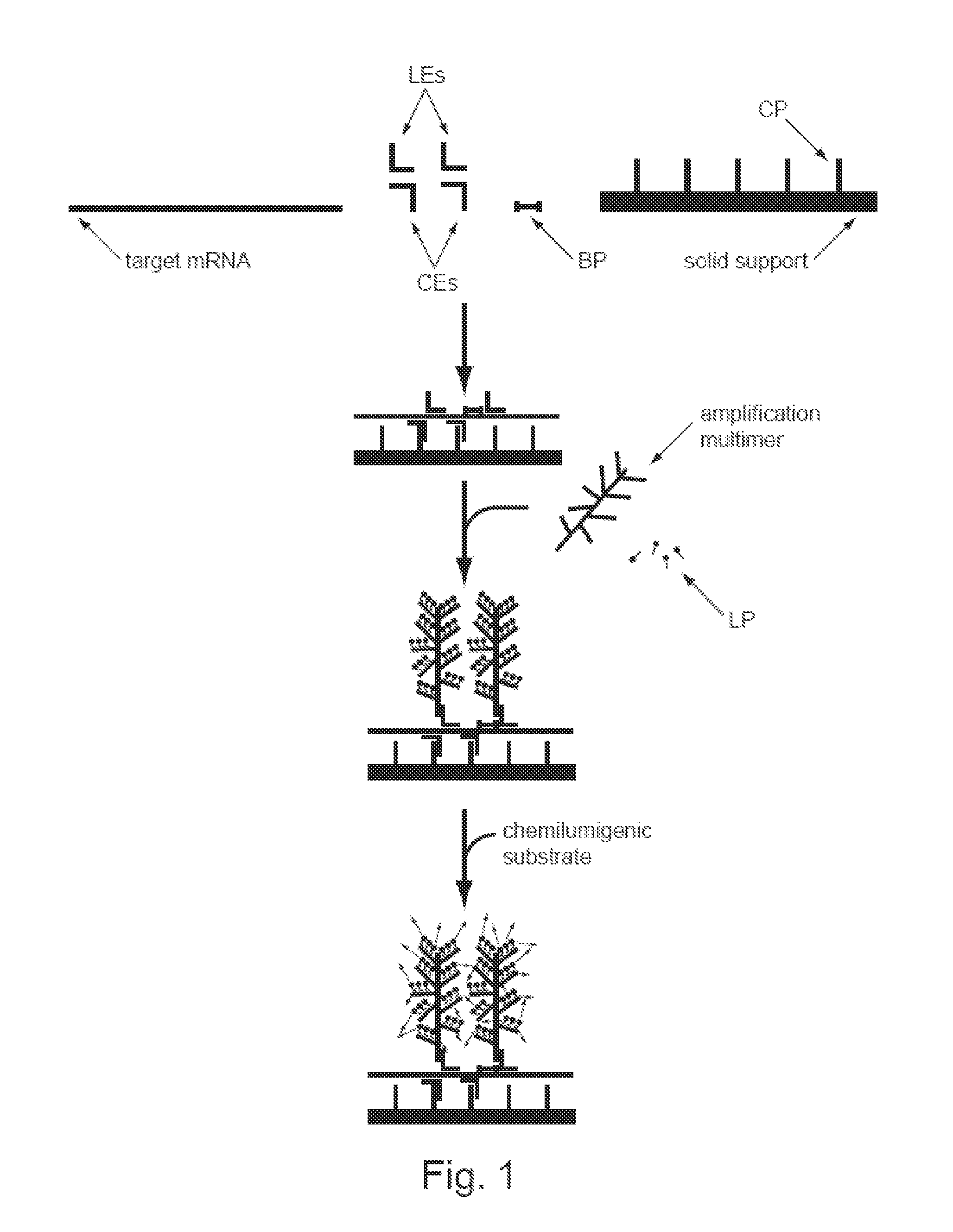 Signal Multiplexing and Signal Amplification