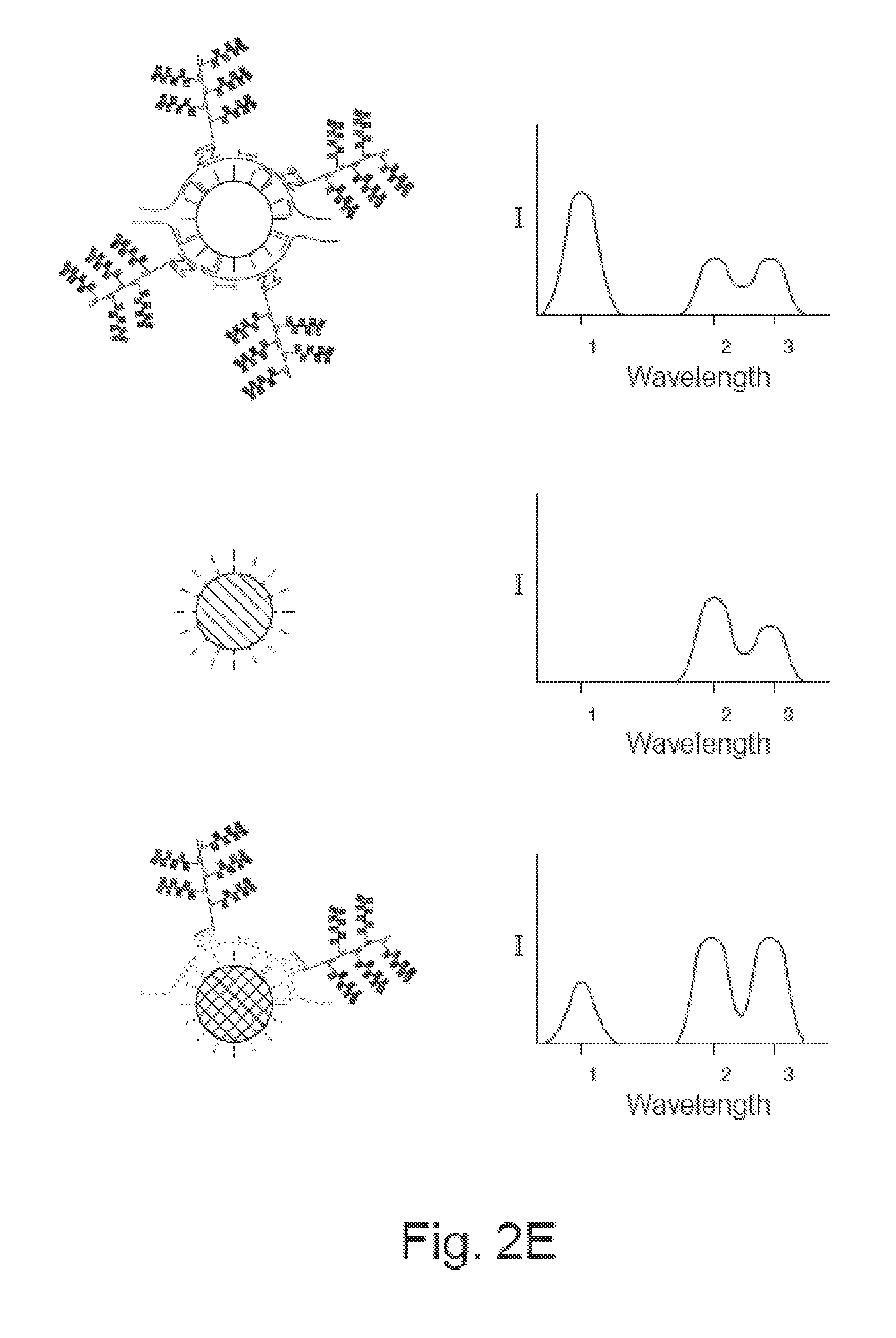 Signal Multiplexing and Signal Amplification