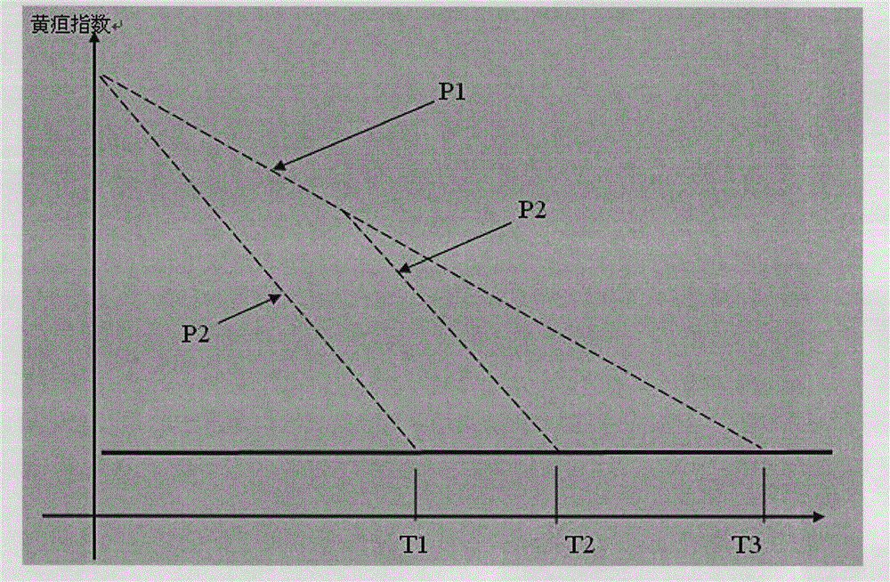 Icterus neonatorum therapeutic system