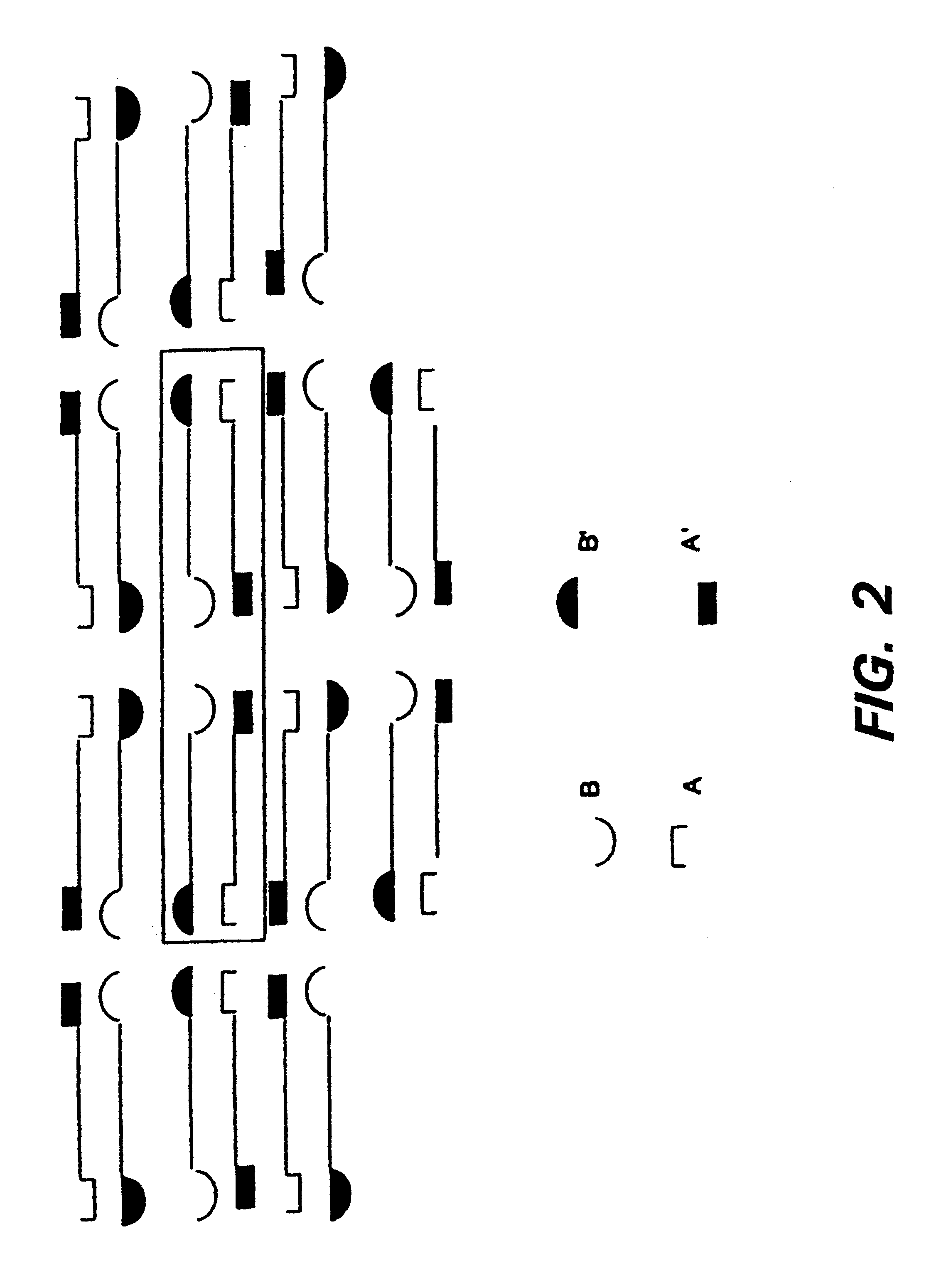 Enzyme-mediated modification of fibrin for tissue engineering