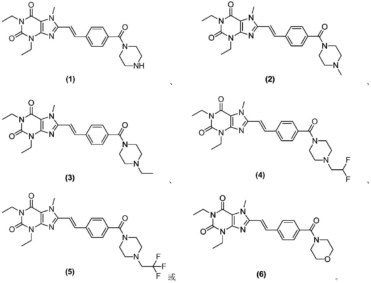 8-substituted styryl xanthine derivative and application thereof