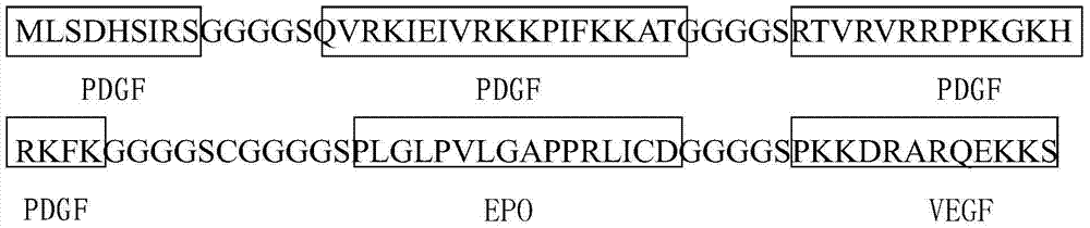 Anti-tumor angiogenesis immune composite peptide, and preparation method and application thereof