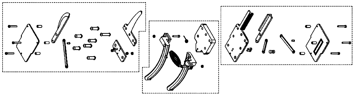 Fruit wood shears with bionic blade and differential clamping mechanism