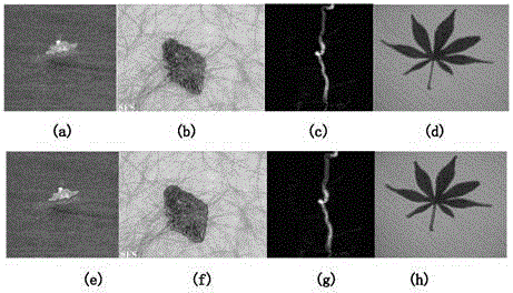 Segmentation method based on reaction diffusion equation