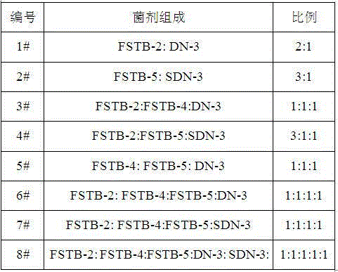 Salt-tolerant COD removal denitrifying microbial agent and preparation method thereof