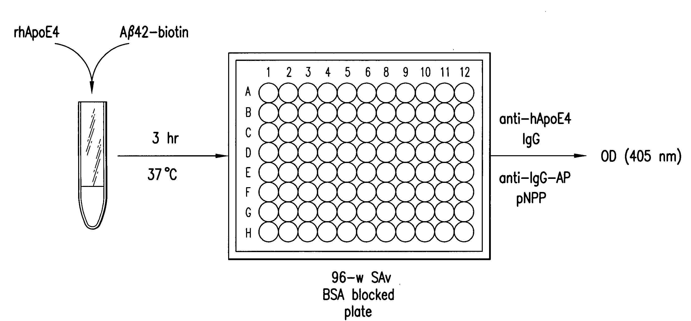 Monoclonal antibody