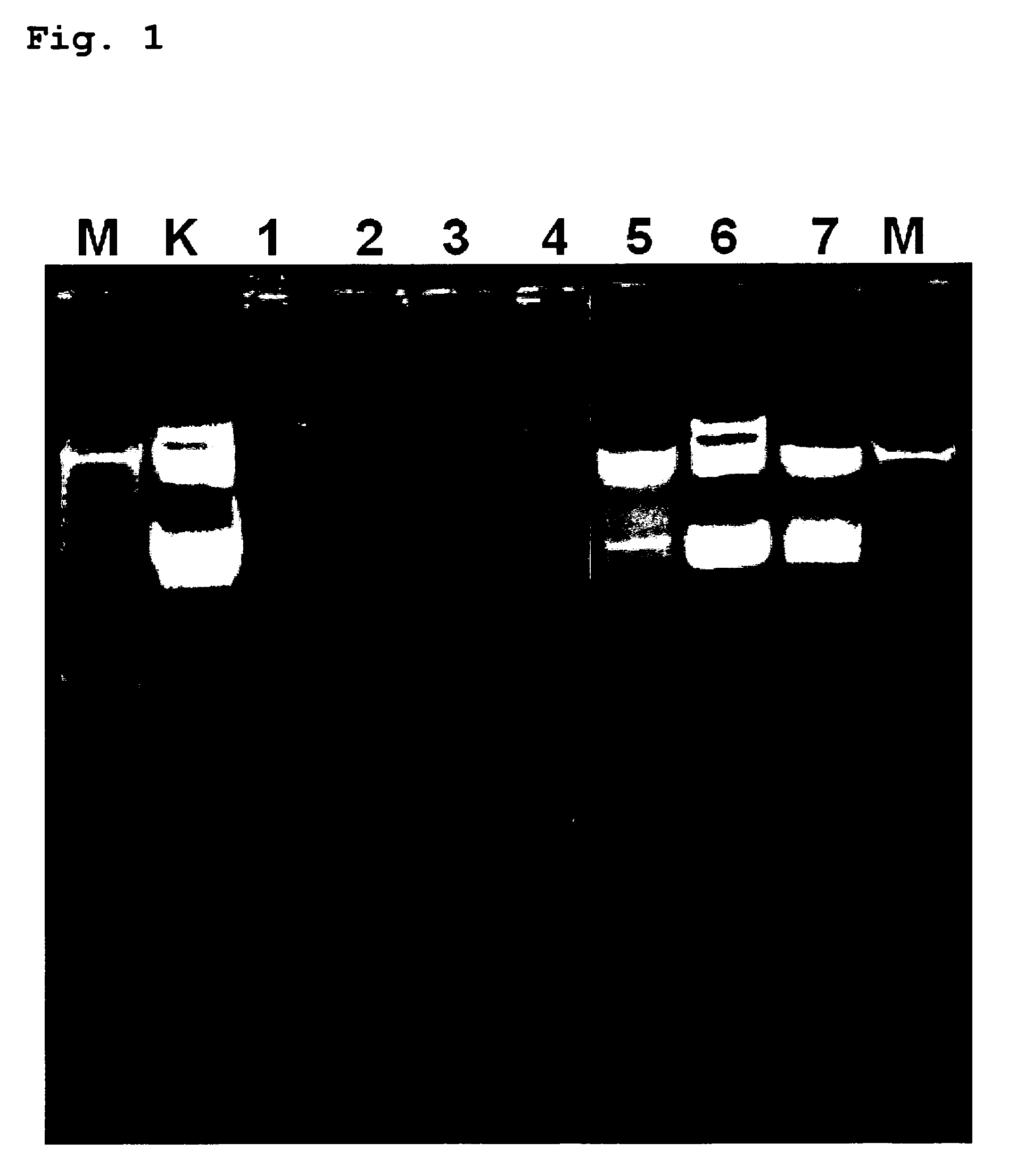 Bioactive, ruthenium-containing coating and device