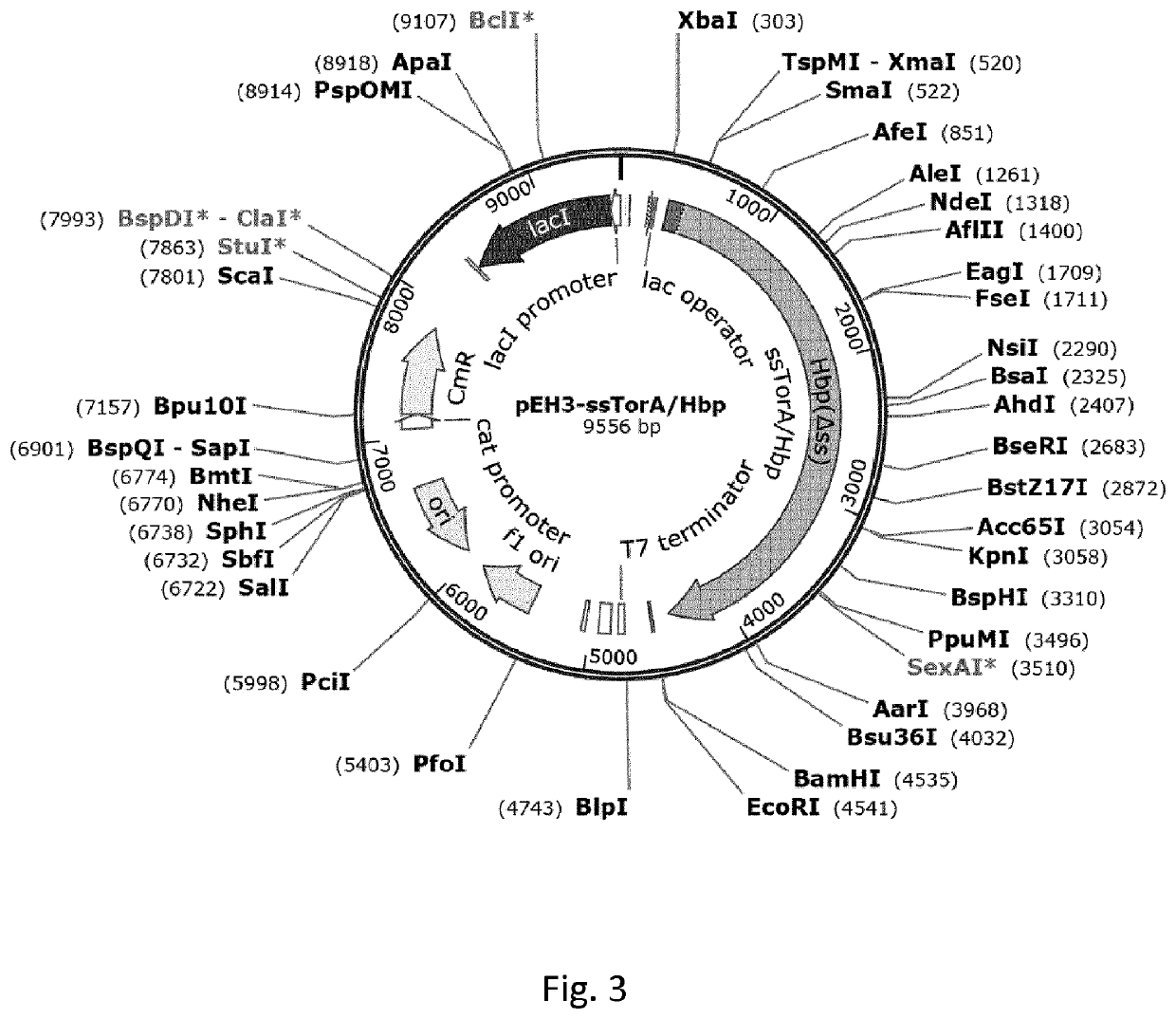 Fusion polypeptides comprising one or more inclusion body tags, methods and uses