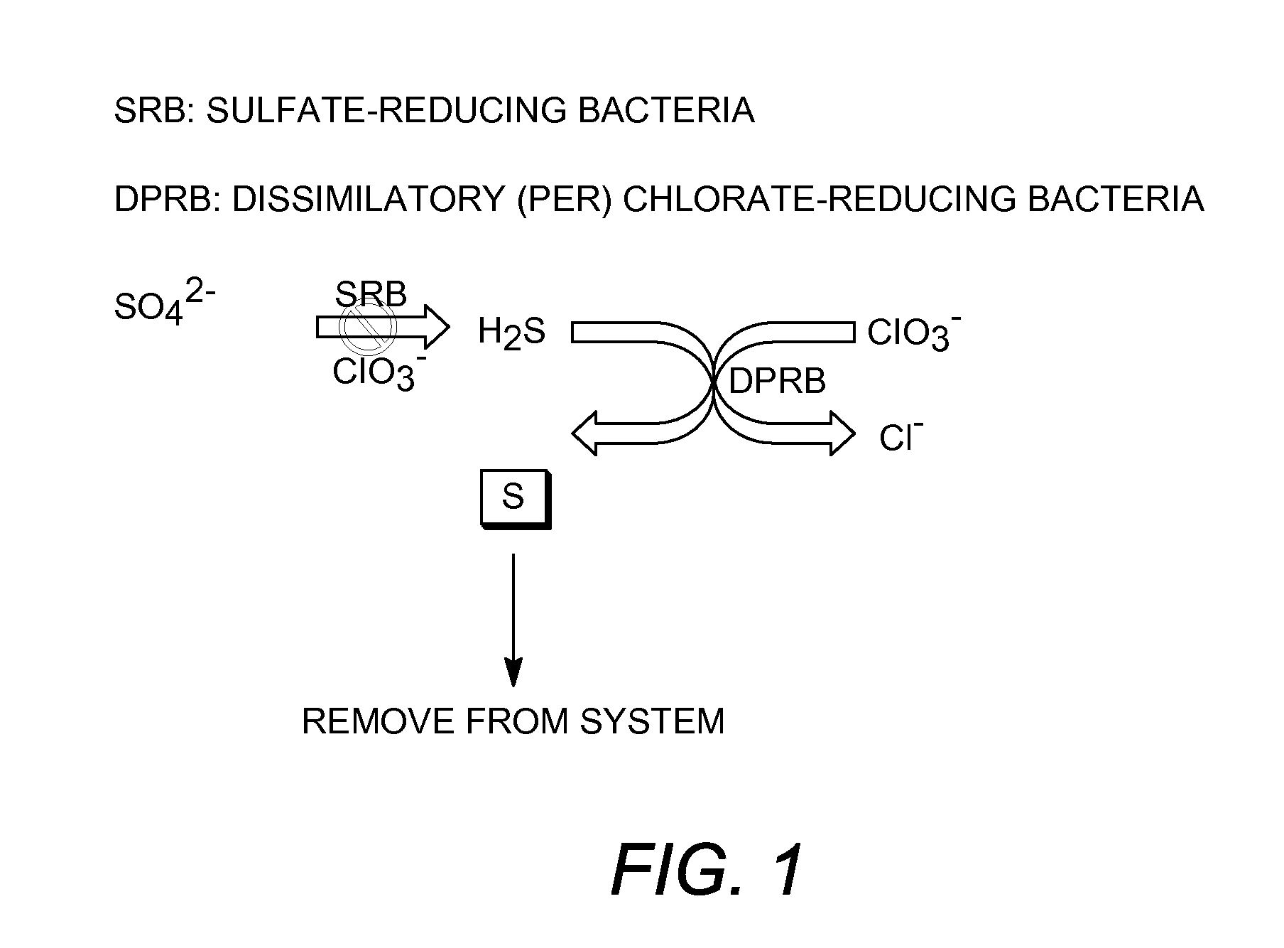 Microbial metabolism of chlorine oxyanions as a control of biogenic hydrogen sulfide production