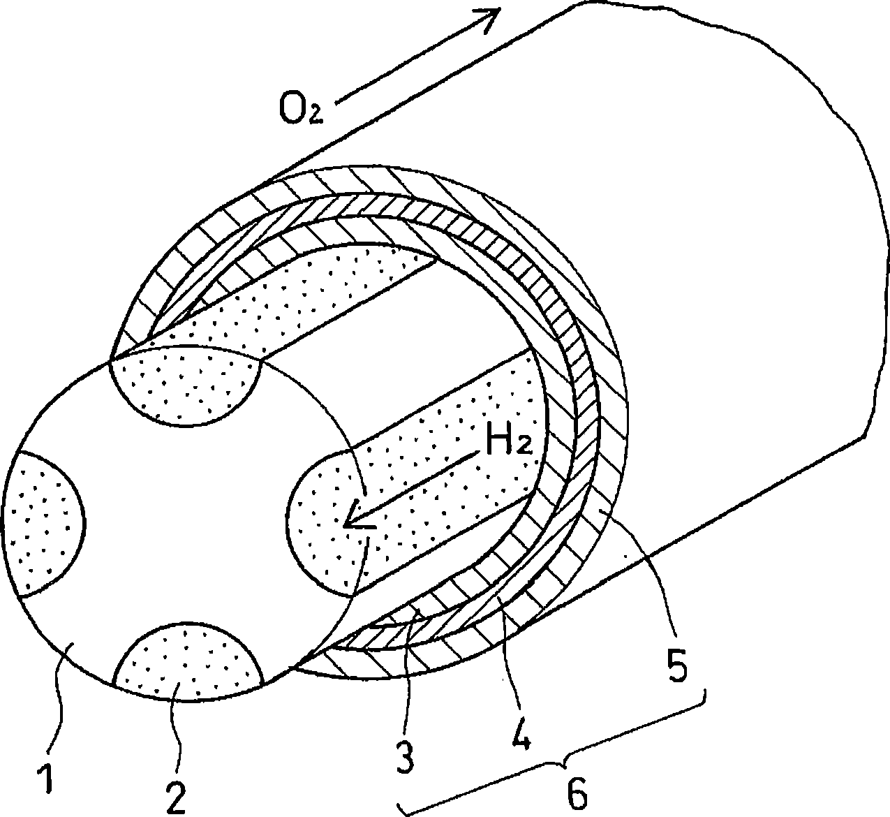 Tube-type solid polymer fuel cell and method for manufacturing tube-type solid polymer fuel cell