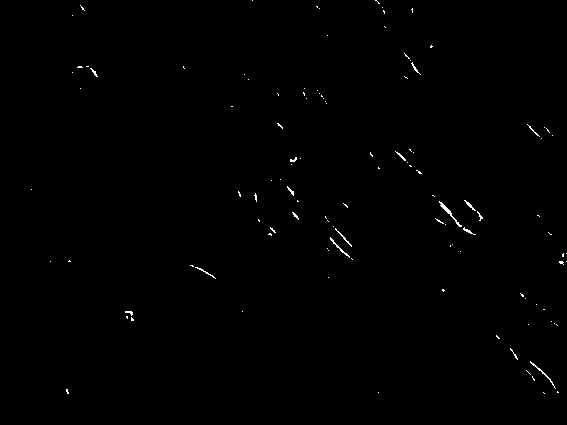 Inducer for inducing human adipose derived stromal cells into insulin-secretion cells, induction medium and method