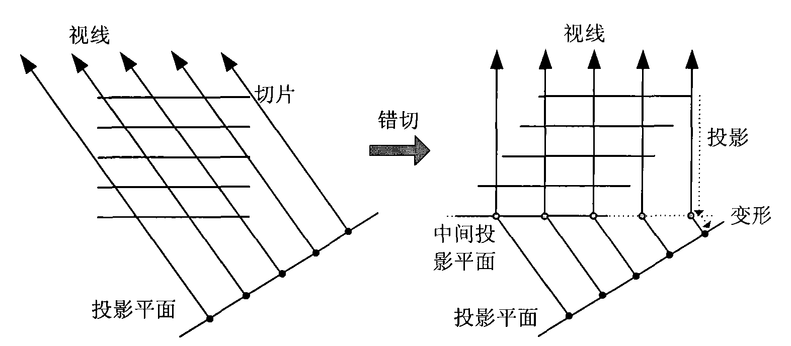 Shear mapping deformable body drawing method based on anisotropic body data