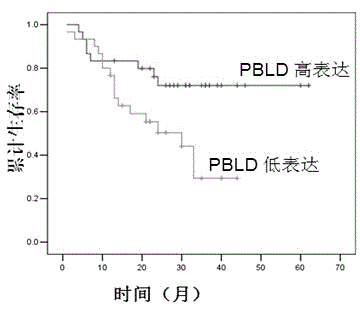 PBLD gene expression primer for primary hepatoma treatment scheme selection and/or prognosis assessment, and application thereof