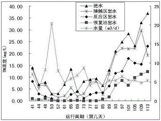 Reinforcing system for reducing nitrate nitrogen concentration in sewage