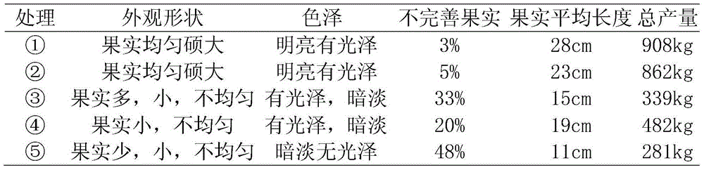 V-type pruning method for pepper cultivation