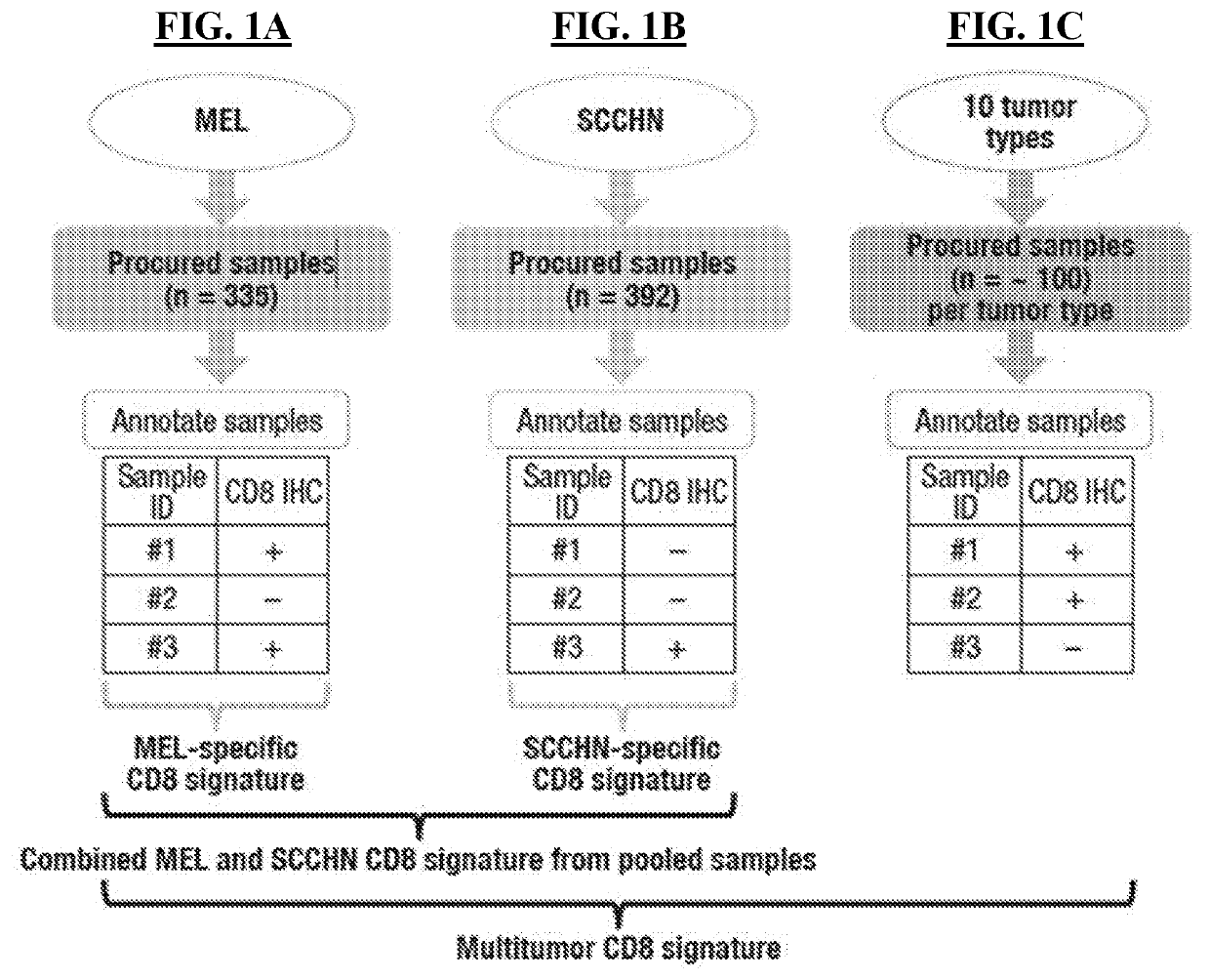 Multi-tumor gene signature for suitability to immuno-oncology therapy