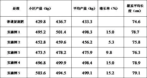 Preparation method of functional fertilizer