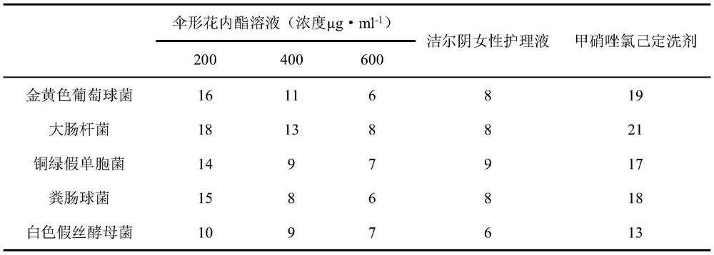 Application of umbelliferone in preparation of medicine for treating vaginitis