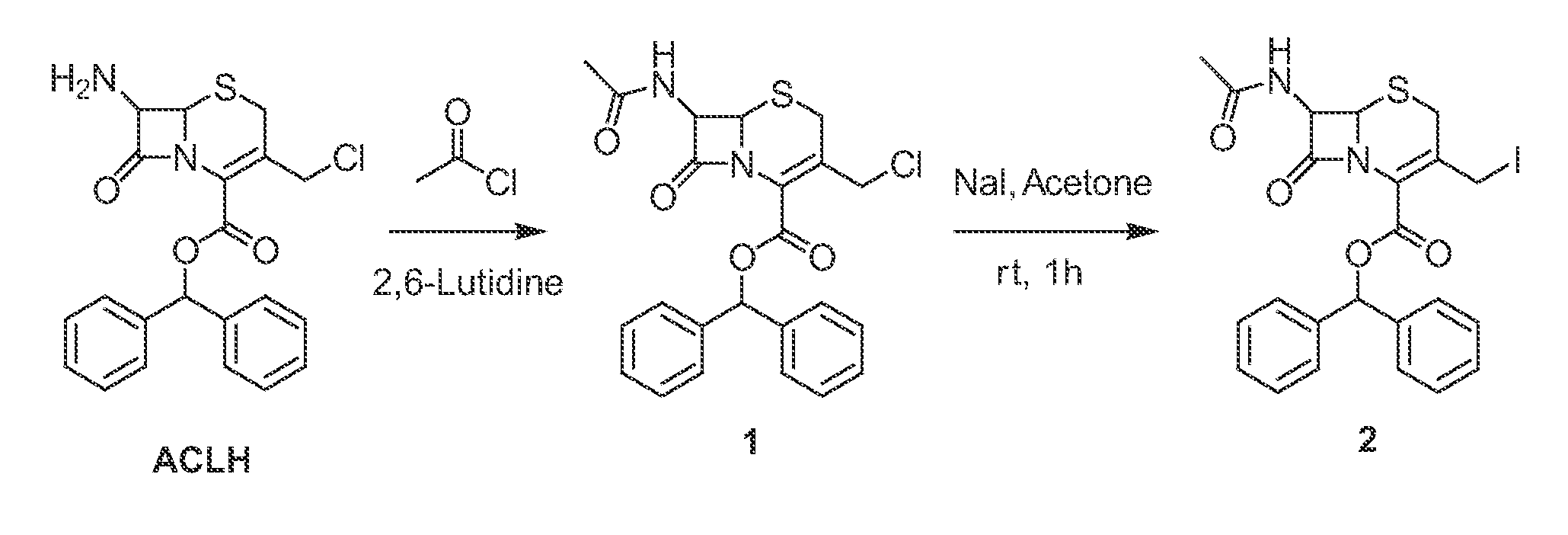 Methods and compounds for detecting beta-lactamase activity