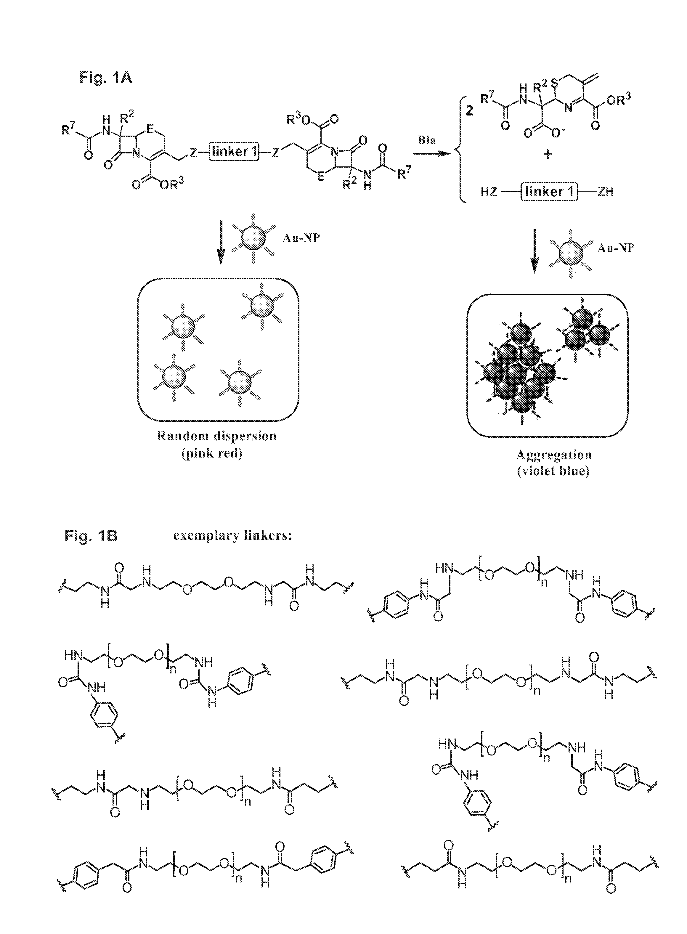 Methods and compounds for detecting beta-lactamase activity