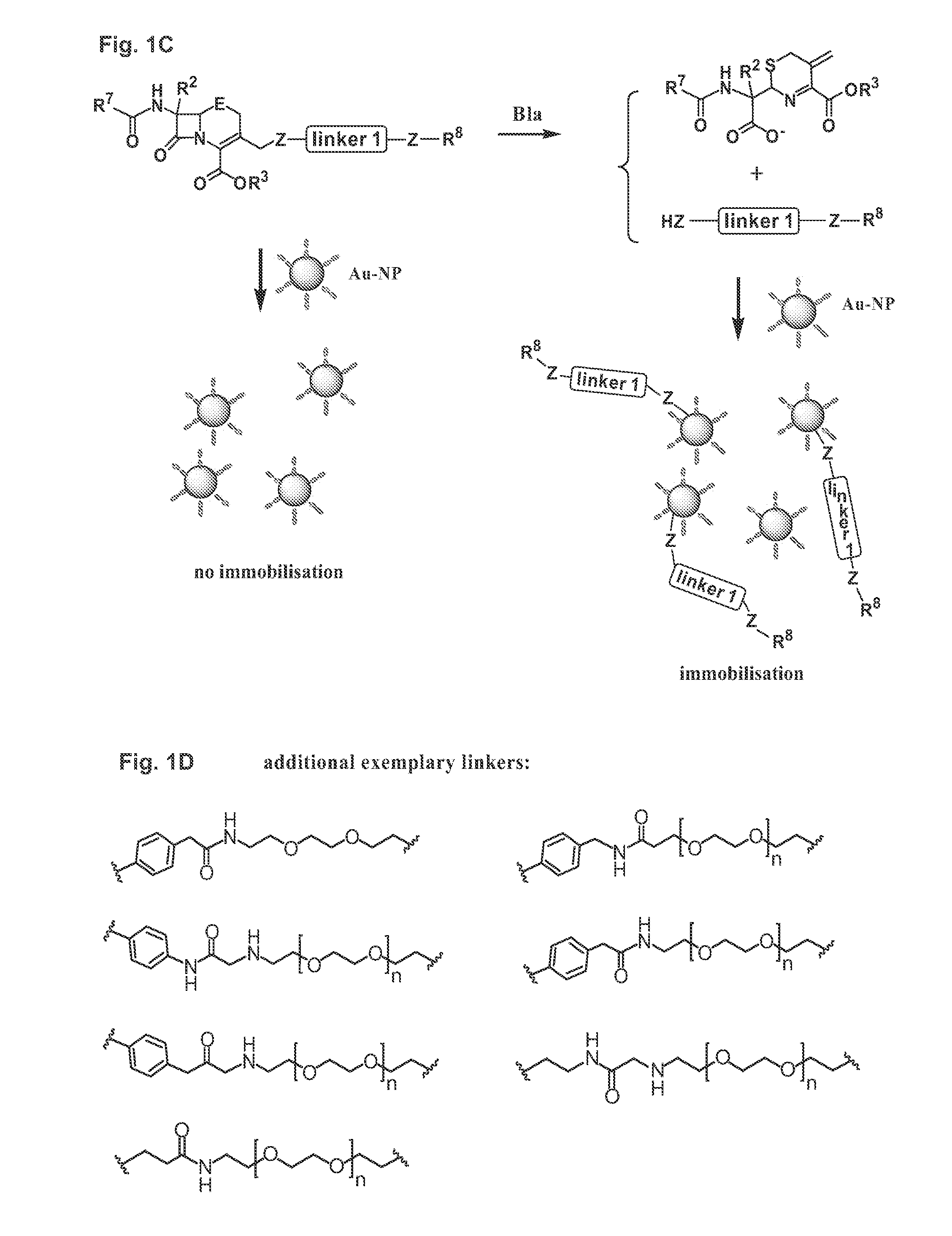 Methods and compounds for detecting beta-lactamase activity