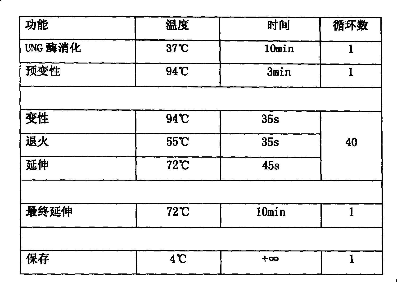 Gene chip for detecting horse infective virus, preparation, detecting method and reagent kit