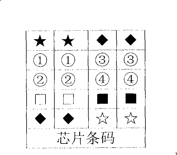 Gene chip for detecting horse infective virus, preparation, detecting method and reagent kit