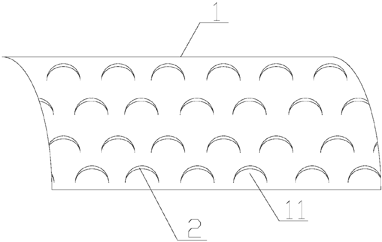 Rhizoma polygonati kneading device and integrated processing method of rhizoma polygonati while fresh