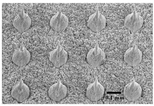 Processing method of drop cake-shaped bounce large-size super-hydrophobic cone column array