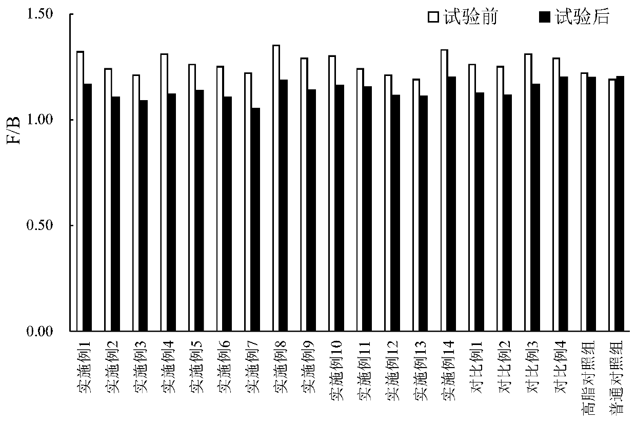 Probiotic and prebiotic composition for forming lean body mass and application thereof