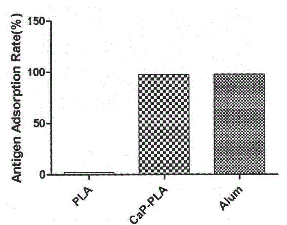 CaP-PLA/PLGA nano-microsphere, and preparation method and application thereof