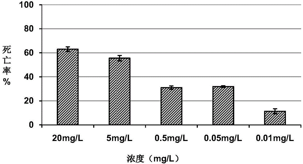 Insecticidal toxicity evaluation method of green muscadine fungus and chlorantraniliprole combined utilization