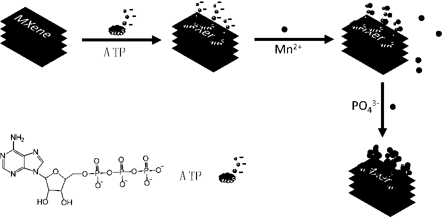 Preparation and application of Mxene-Mn3(PO4)2 composite electrode material