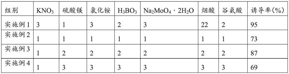 Induction culture medium of polygonum cuspidatum root callus and application of induction culture medium