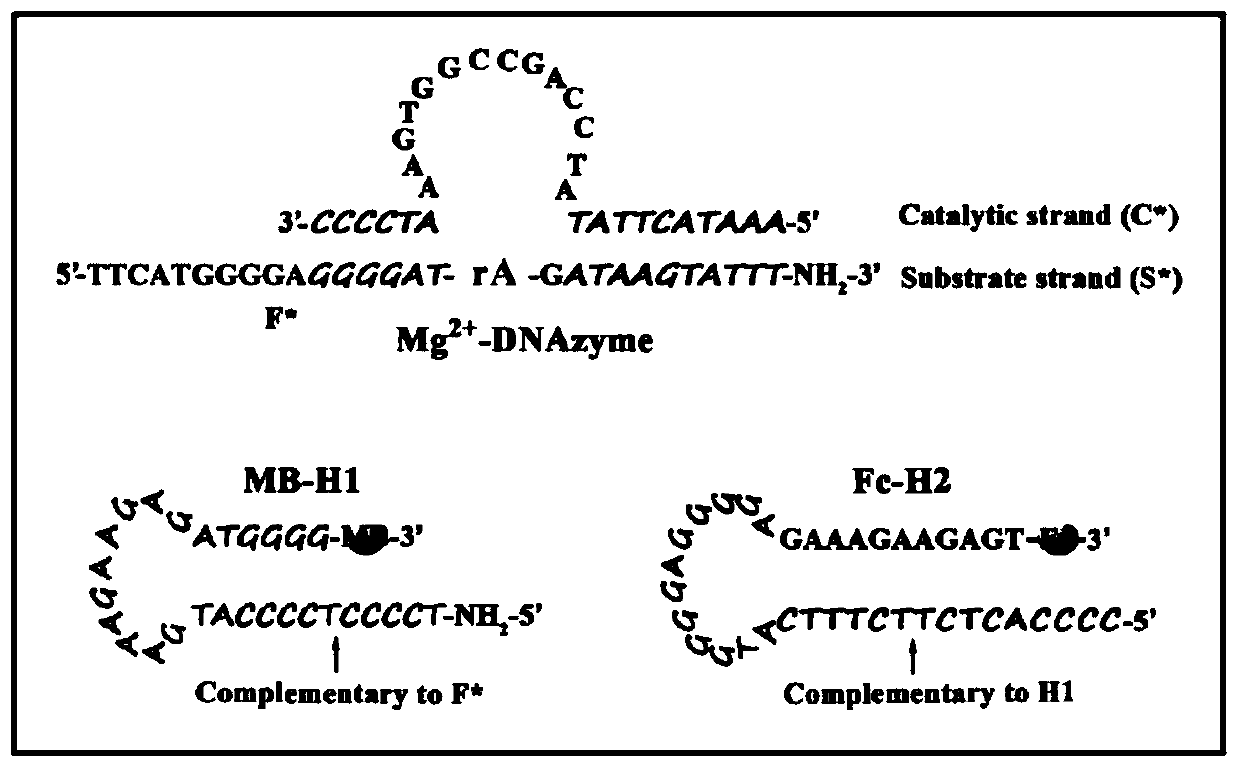 Ratio-type electrochemical biosensor for eliminating LAMP background interference, construction method and application