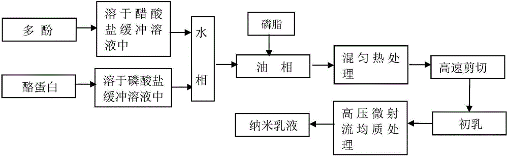 Preparation method of compound nano-emulsion