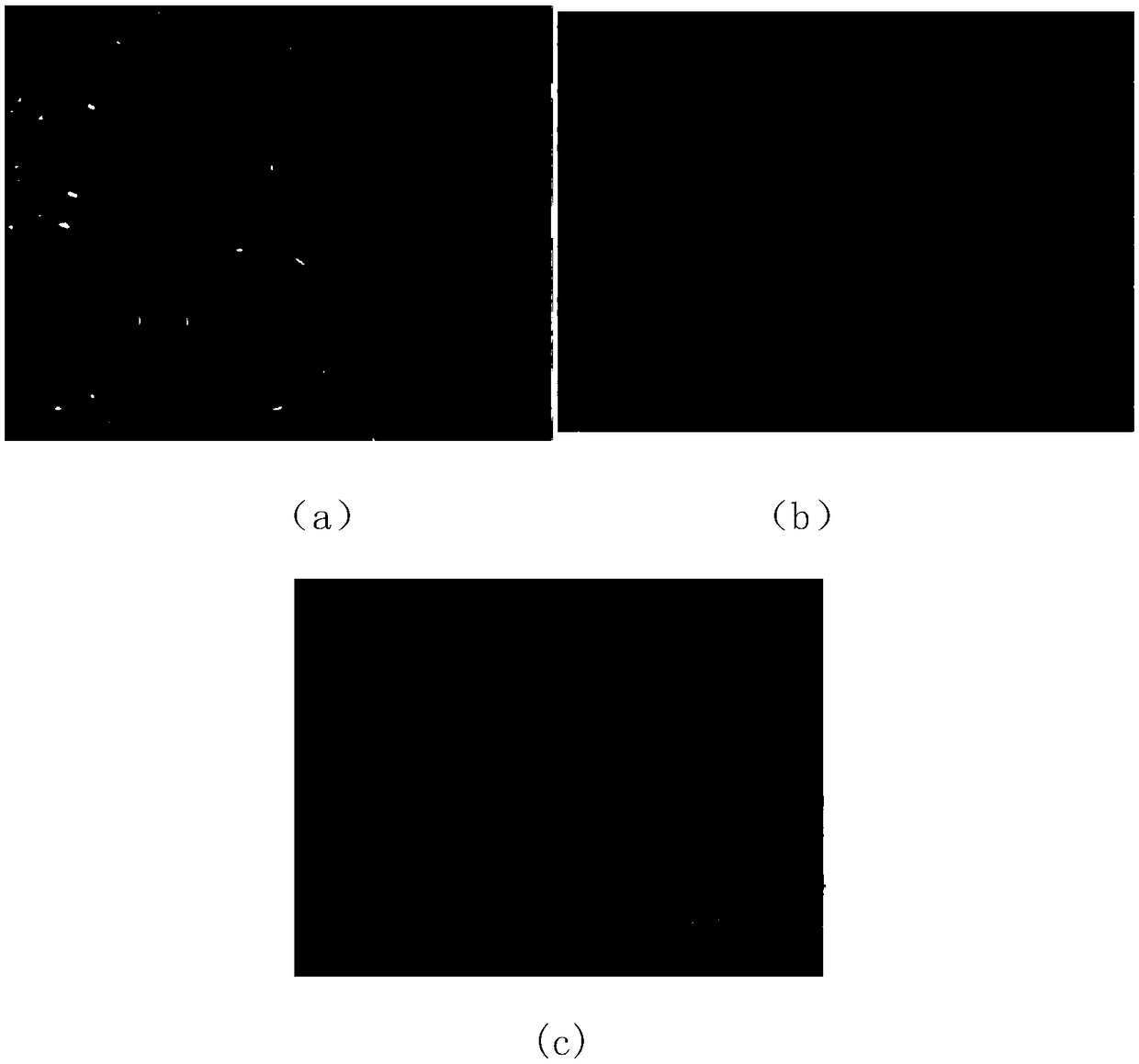 Long-acting protective liquid self-secreting super-lubricity coating and preparation method thereof