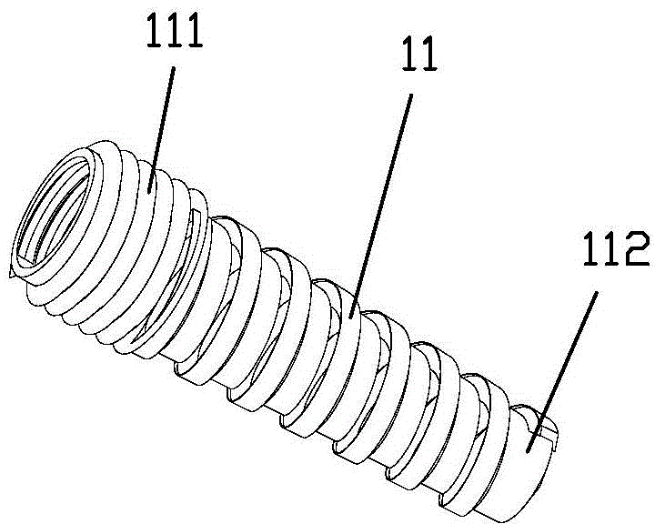 Implant tooth