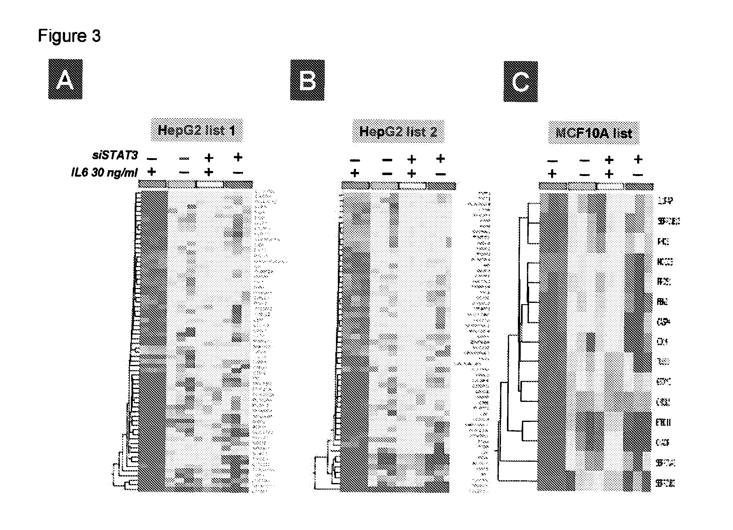 Gene expression signature for il-6/stat3 signaling pathway and use thereof