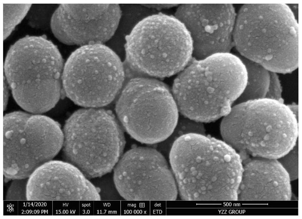 Oil-water separation method based on magnetic Janus particles