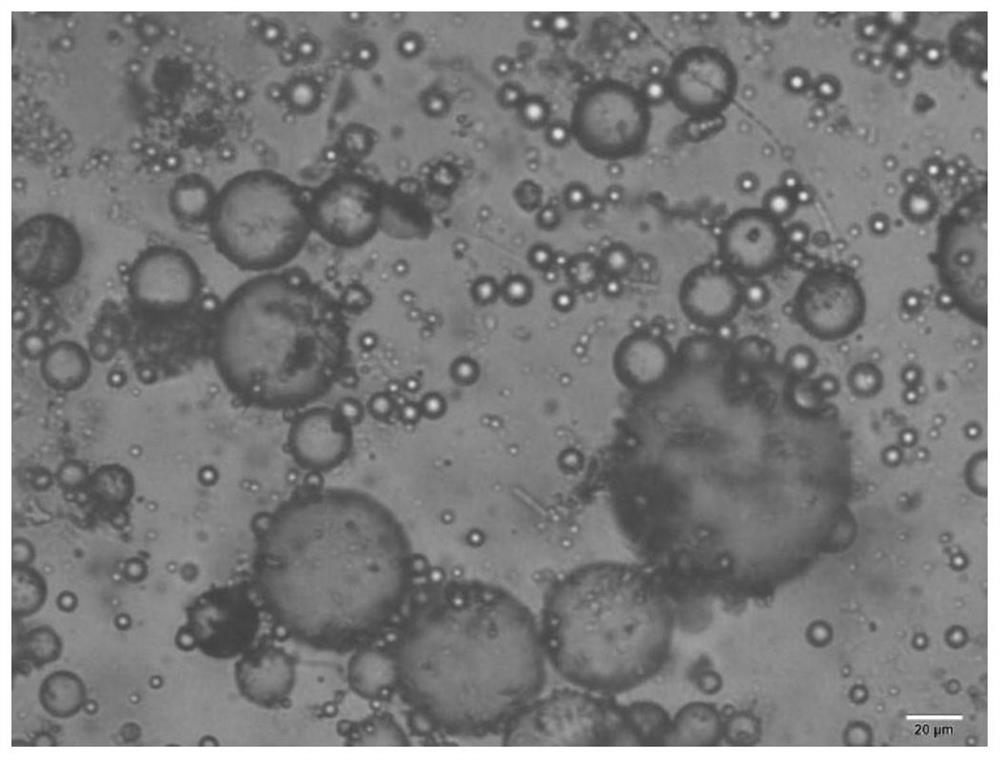 Oil-water separation method based on magnetic Janus particles