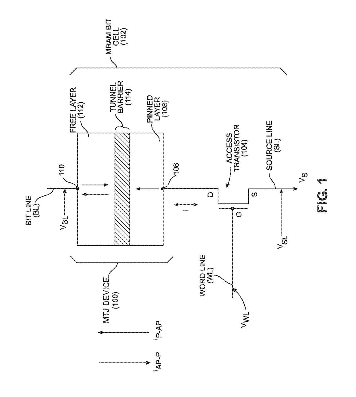 Voltage-switched magneto-resistive random access memory (MRAM) employing separate read operation circuit paths from a shared spin torque write operation circuit path