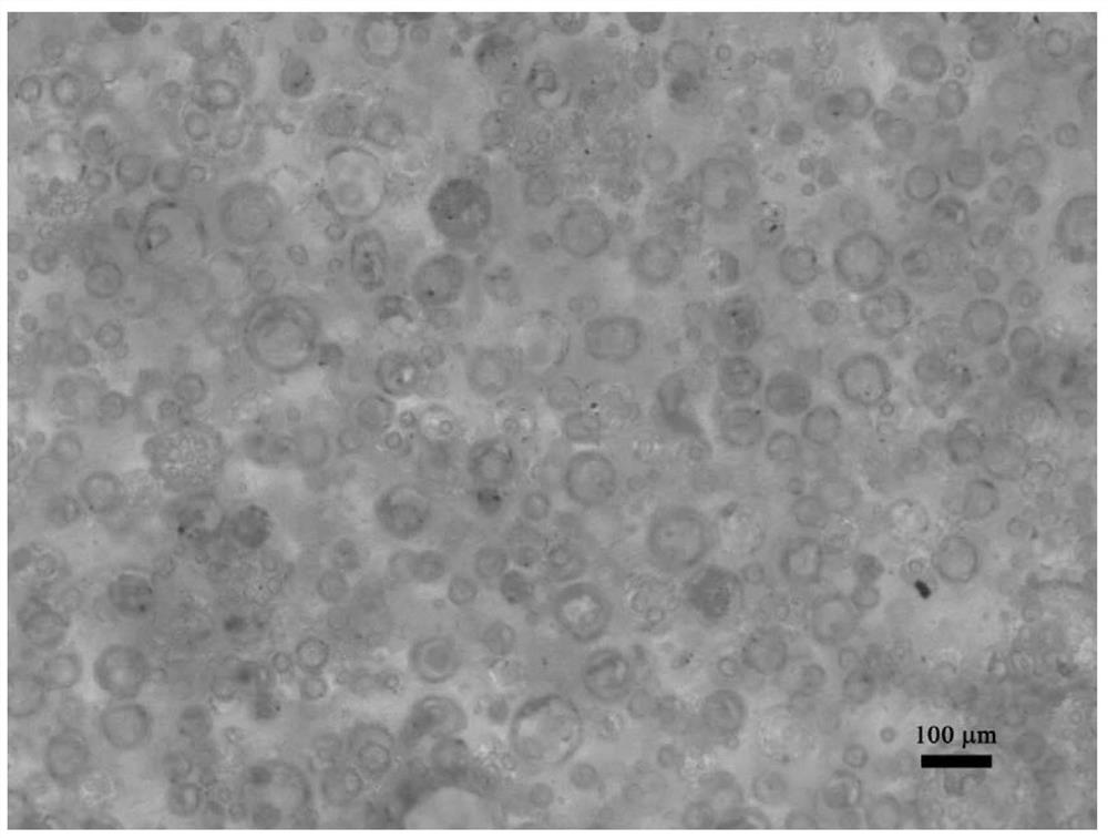 Preparation method of matching layer for relaxor ferroelectric single crystal ultrasonic transducer