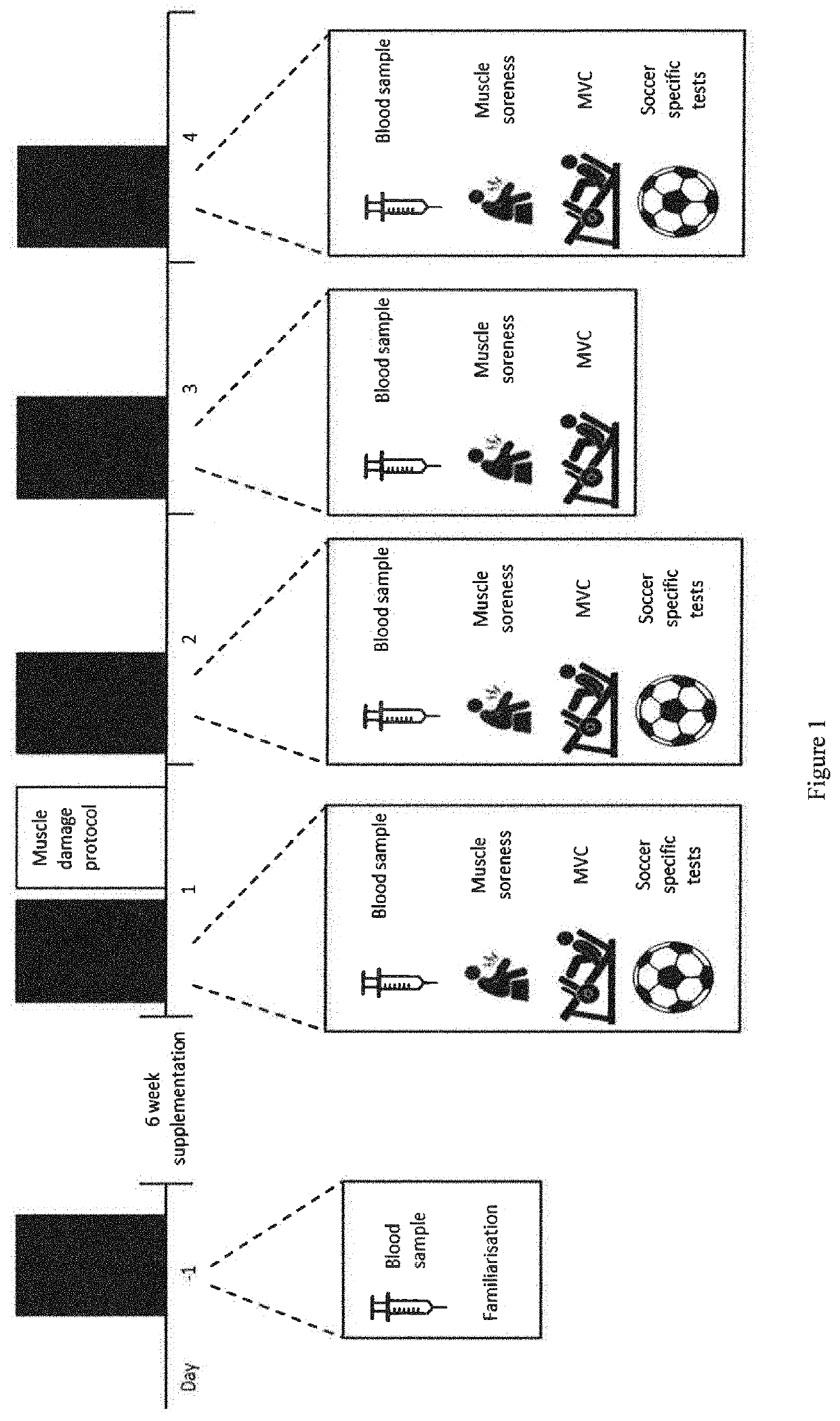 Use of a composition comprising marine oil and juice for improving muscle performance